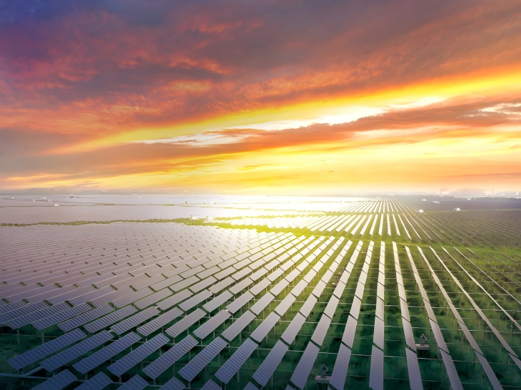 Planta de pesca solar de 202 MW, Tianjin, China
