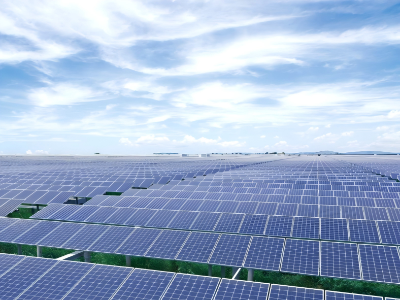 Planta de pesca solar de 133 MW, Tianjin China